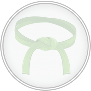 belt_green_dimmed
