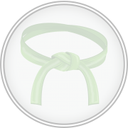belt_greenstripe_dimmed