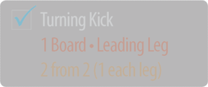 TurningKick1BoardLeadingLeg_Ticked