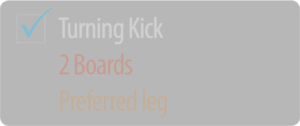 TurningKick2BoardsPreferred