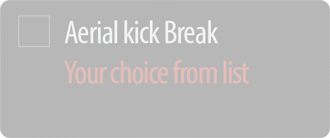 Empty_AerialKick