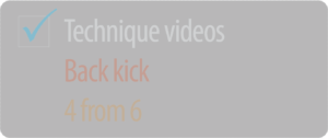 TechniqueVideos_BackKick_4from6