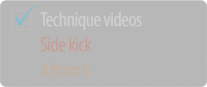 TechniqueVideos_SideKick_4from6