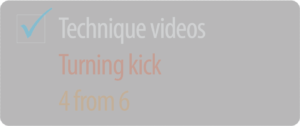 TechniqueVideos_TurningKick_4from6